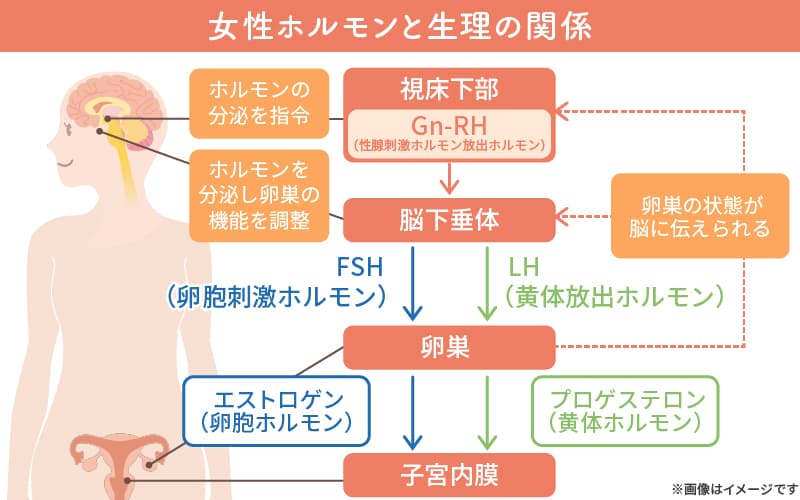 生理が遅れる原因