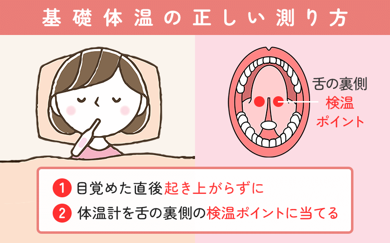 妊娠の検査方法